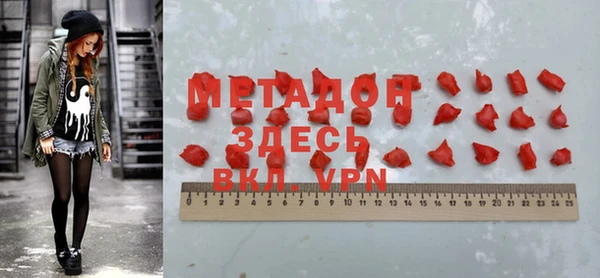 стаф Алзамай