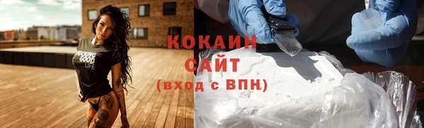 стаф Алзамай