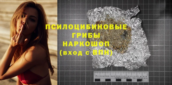 ПСИЛОЦИБИНОВЫЕ ГРИБЫ Алексин