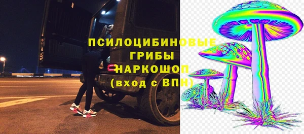 стаф Алзамай