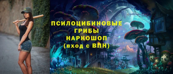 ПСИЛОЦИБИНОВЫЕ ГРИБЫ Алексин