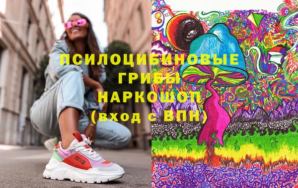 стаф Алзамай