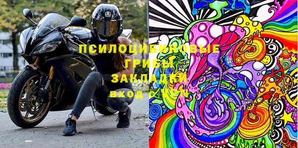 ПСИЛОЦИБИНОВЫЕ ГРИБЫ Алексин