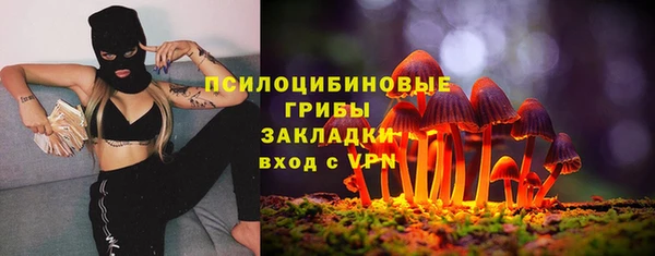 ПСИЛОЦИБИНОВЫЕ ГРИБЫ Алексин