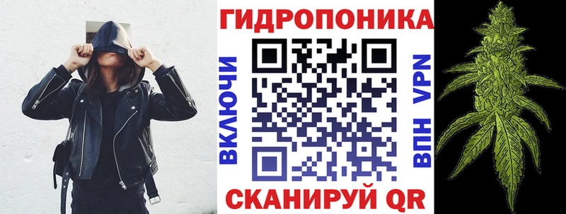 как найти закладки Завитинск Конопля ГИДРОПОН